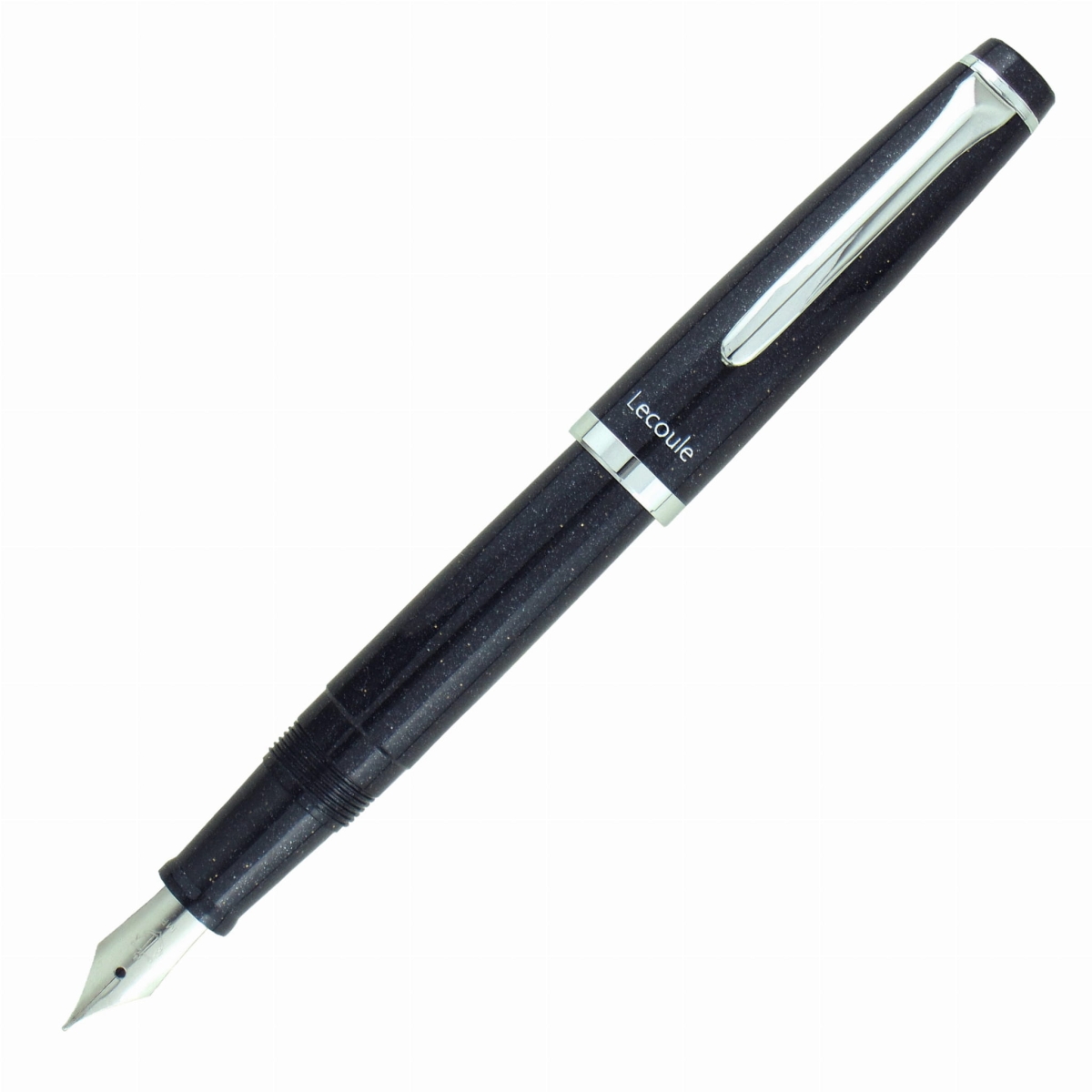 Lecoule_PS_MORION_S2.jpg