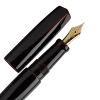 nakaya_dorsal_fin_1_Kuro_otwarte.png