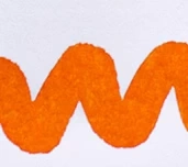 blaze orange.webp