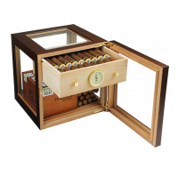 adorini_cube_walnut_.png